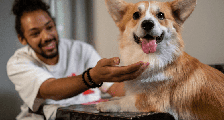 Dogs bring joy Dogs bring joy